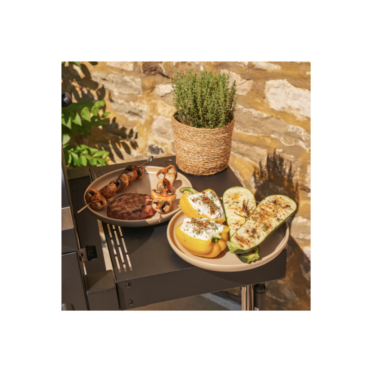 Barbecue charbon Centaurus Beta II 90x70cm NATERIAL