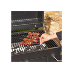 Barbecue charbon Centaurus Beta II 90x70cm NATERIAL