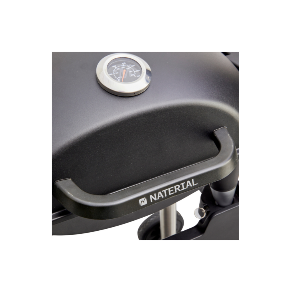 Barbecue électrique Hyperion NATERIAL 2200w, noir